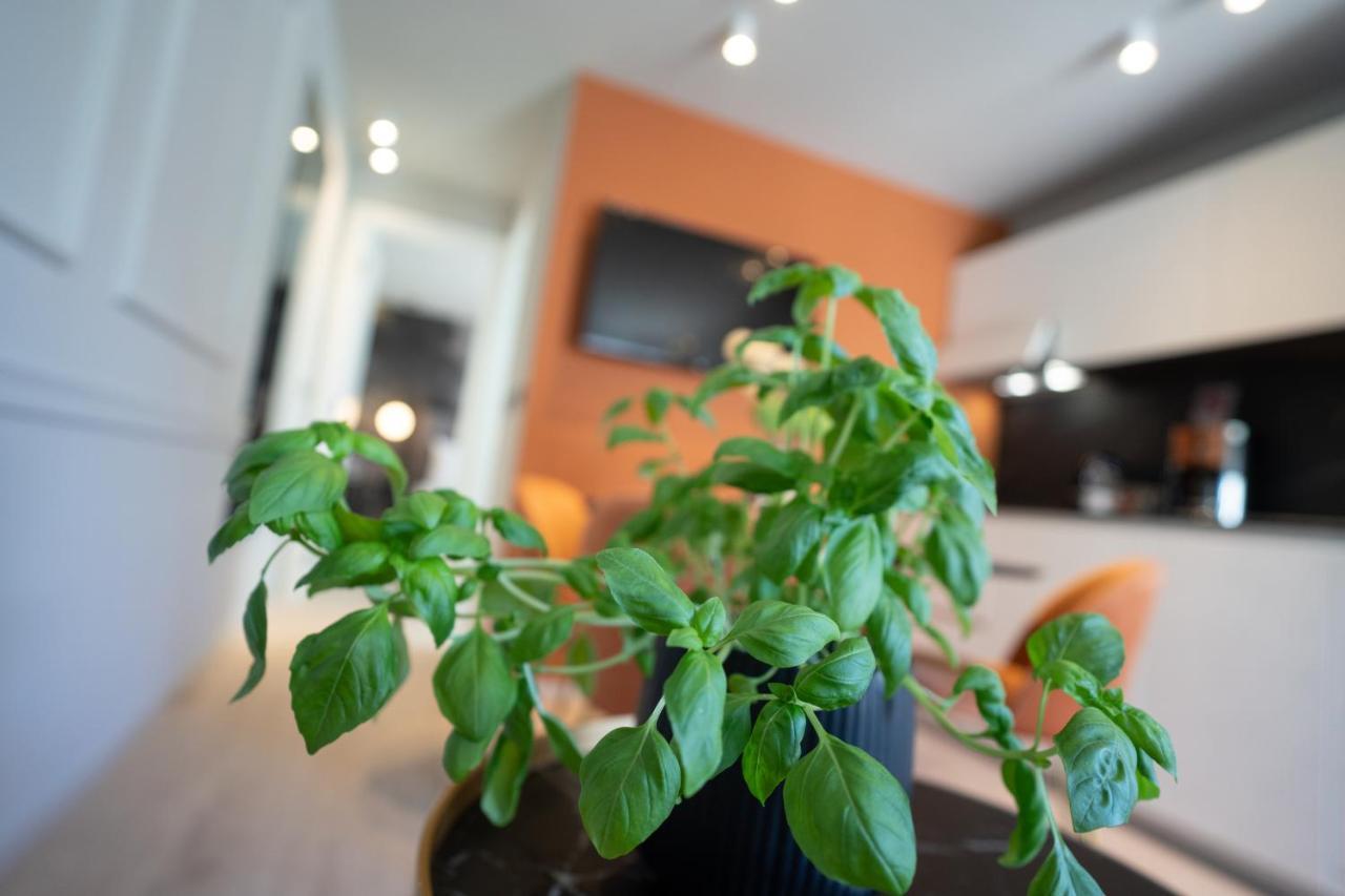 Prestige Apartament Rovinj